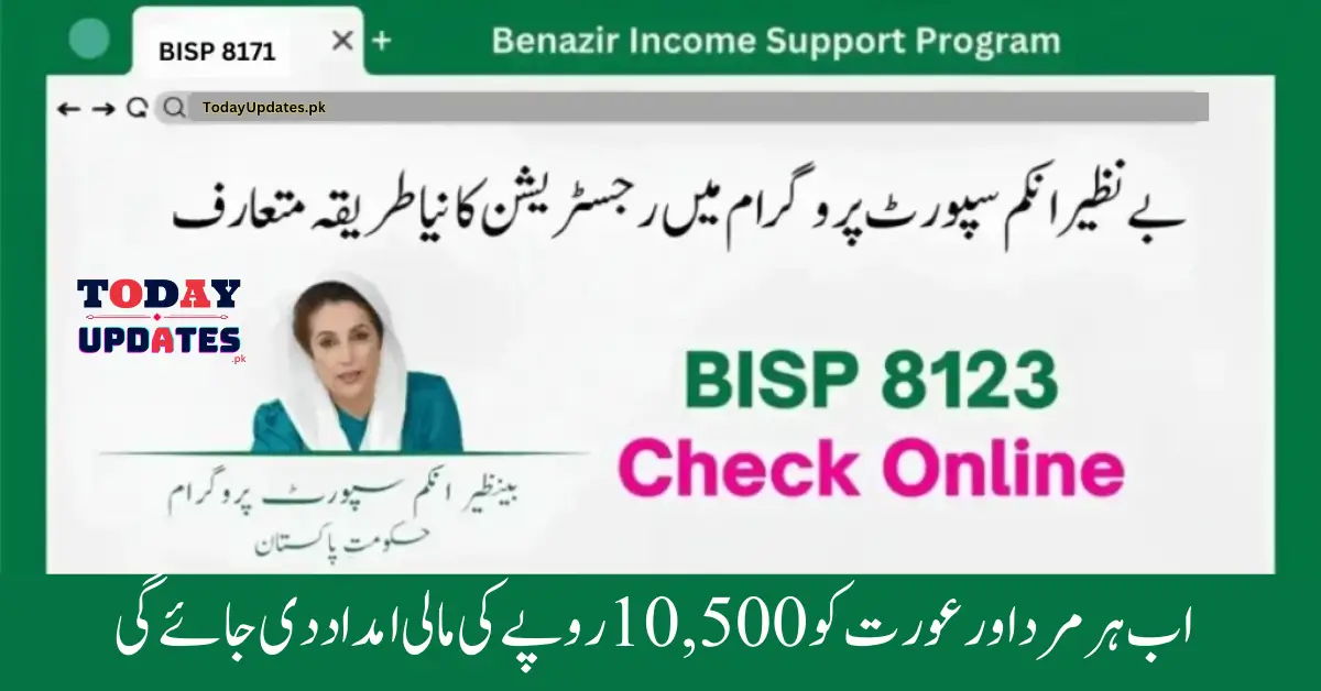 BISP 8171 Registration 2024: Step-by-Step Guide to Filling Benazir Application Form