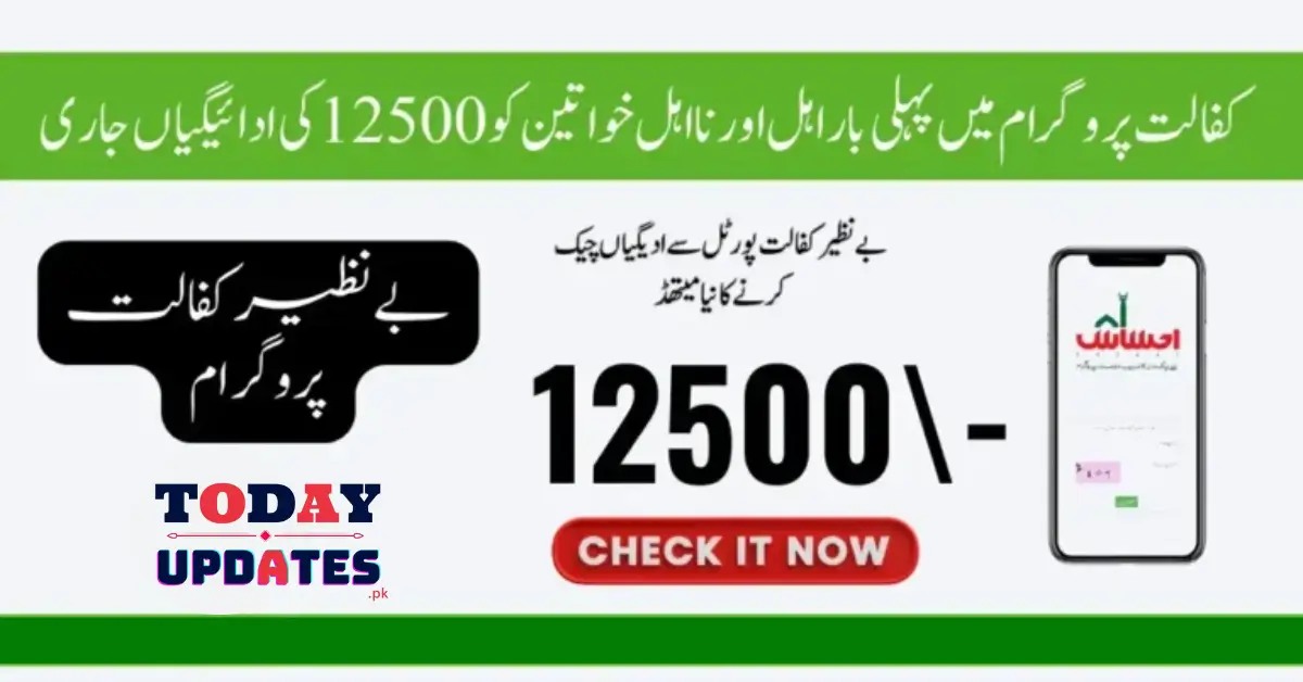 Benazir Kafalat 12500 Payment: Check Your Status Now on the Web Portal