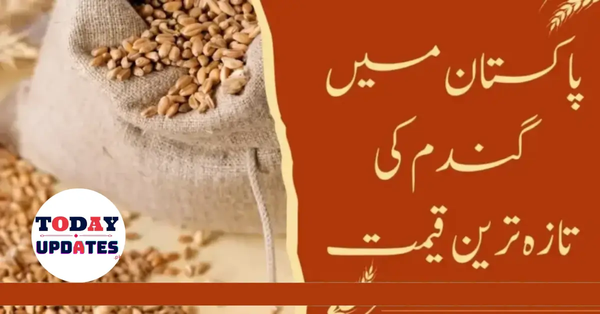 Latest 2024 Wheat Price Updates in Pakistan: Today's Market News