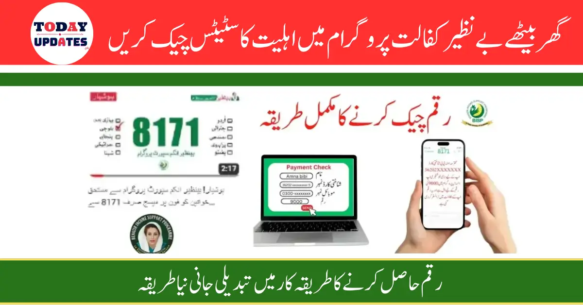 Check Balance Online Through 8171 Web Portal on www.bisp.gov.pk – 2024 Update