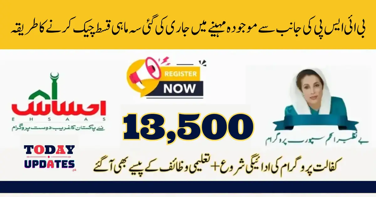 Check Your 135,00 Ehsaas Kafalat Payments with 8171 CNIC Verification