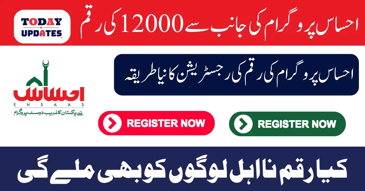 Ehsaas Program 12000 Online Check 8171 Code And Online Portal Easy Method