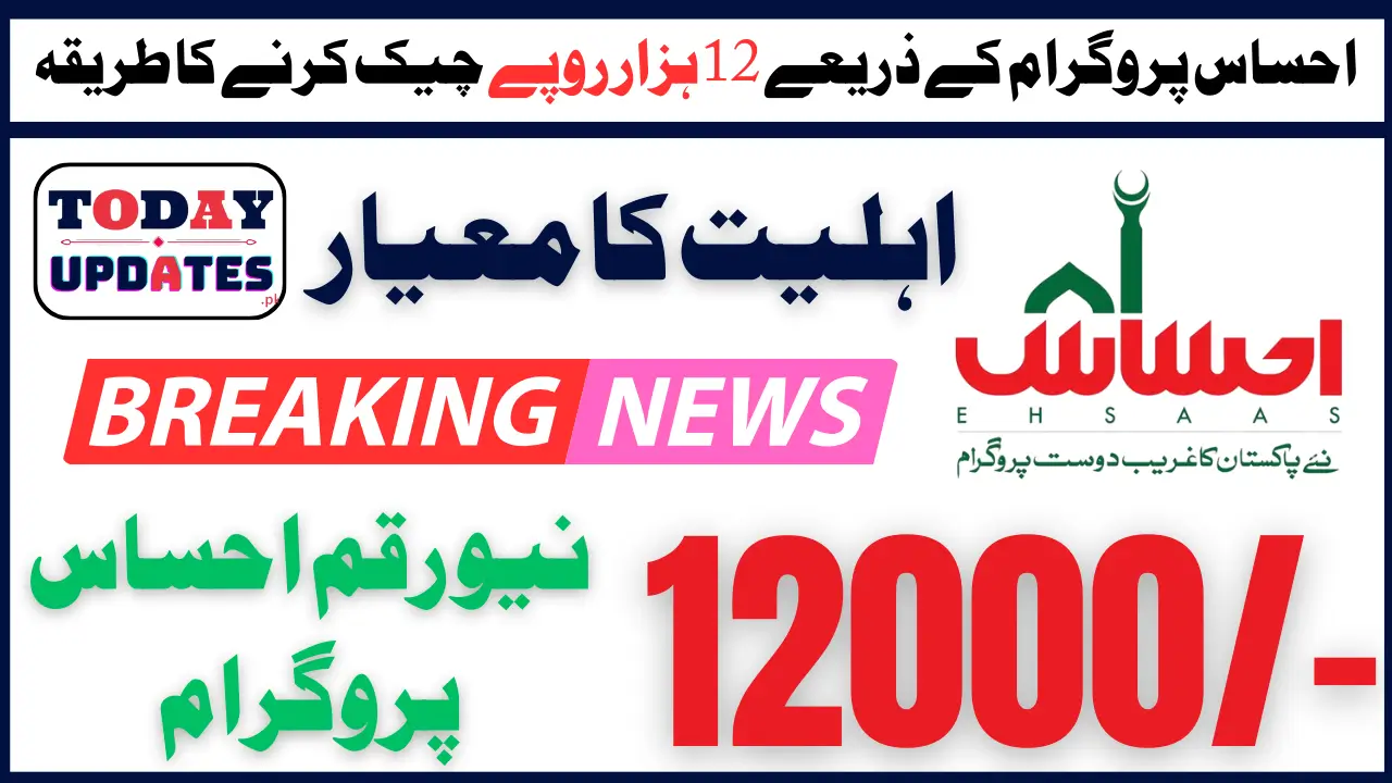 Ehsaas Program 12000 Online Check 8171 Portal And SMS Way Latest Method of 2025